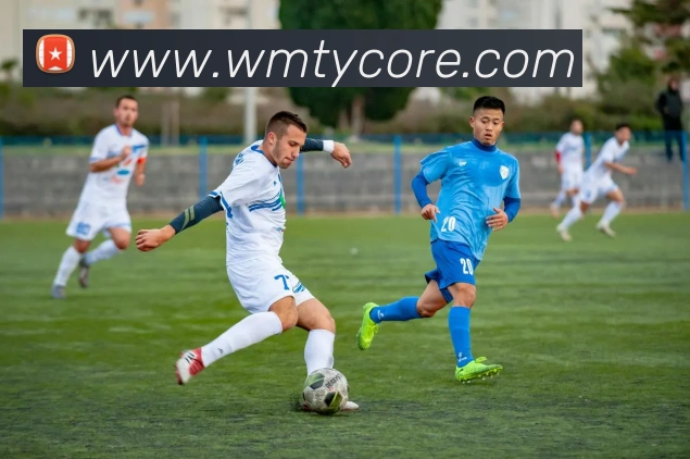 完美体育APP 封面图